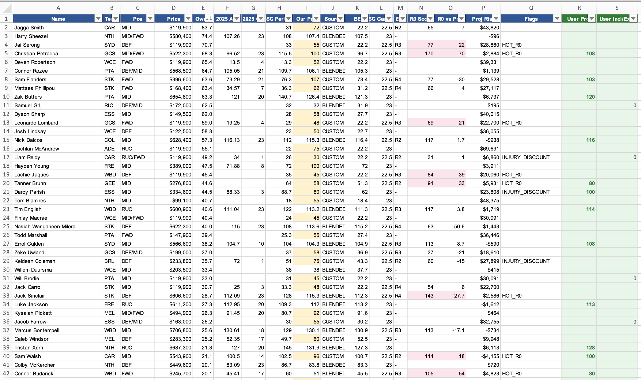 Player spreadsheet with custom projections