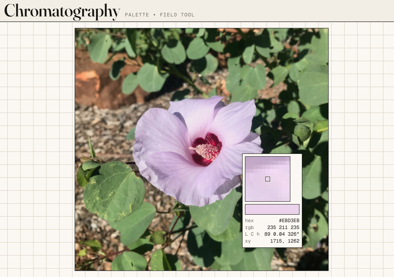 Chromatography loupe